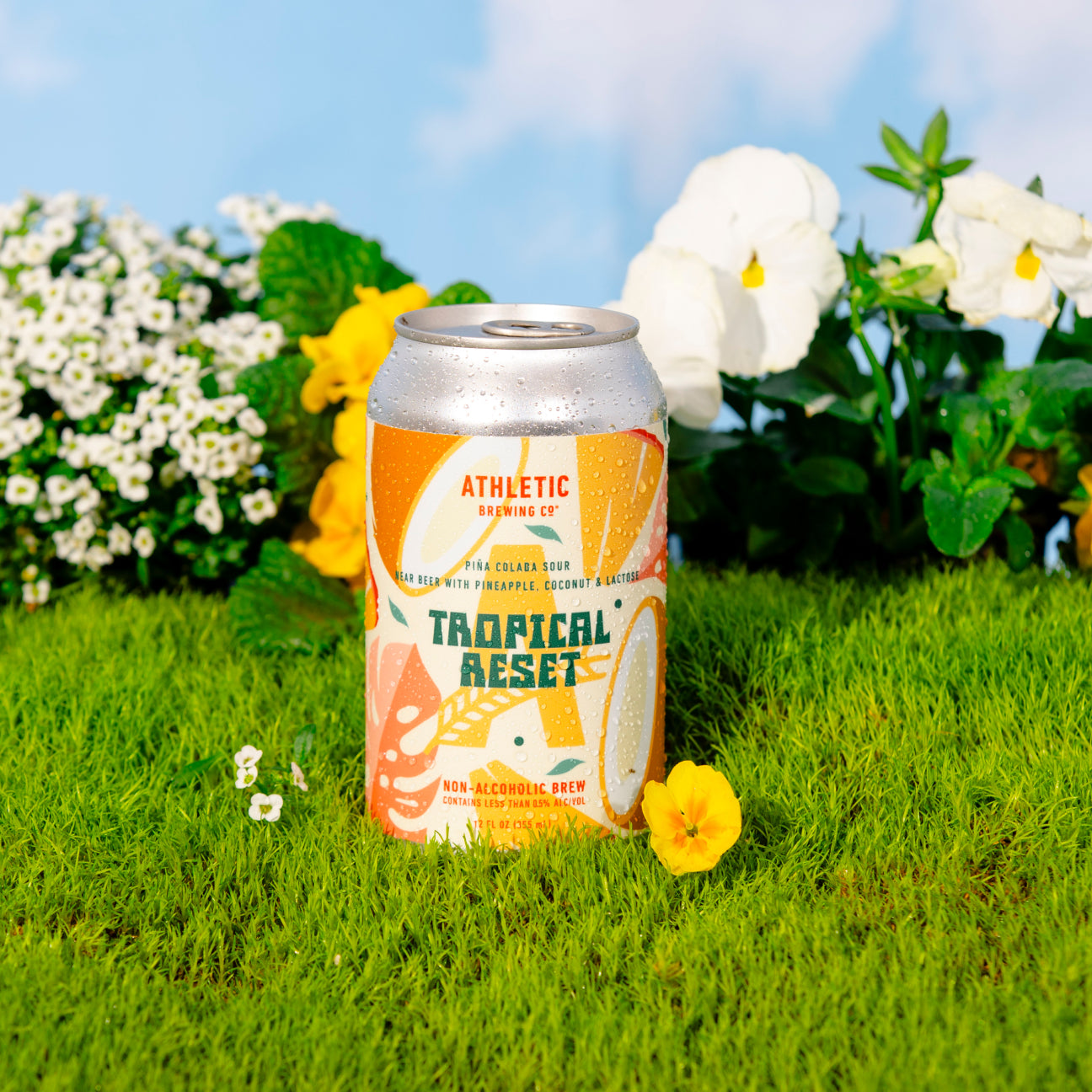 Tropical Reset
